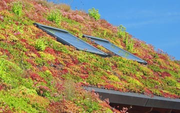 Germansweek living roof systems