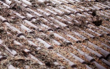 Germansweek roof cleaning companies