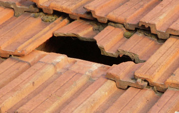 roof repair Germansweek, Devon